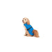Dog raincoat Dog Gone Smart Blue 45 cm - Домашни Животни<<<Дом Градина<<<BigBuy&&&Пътуване и разходки<<<Домашни