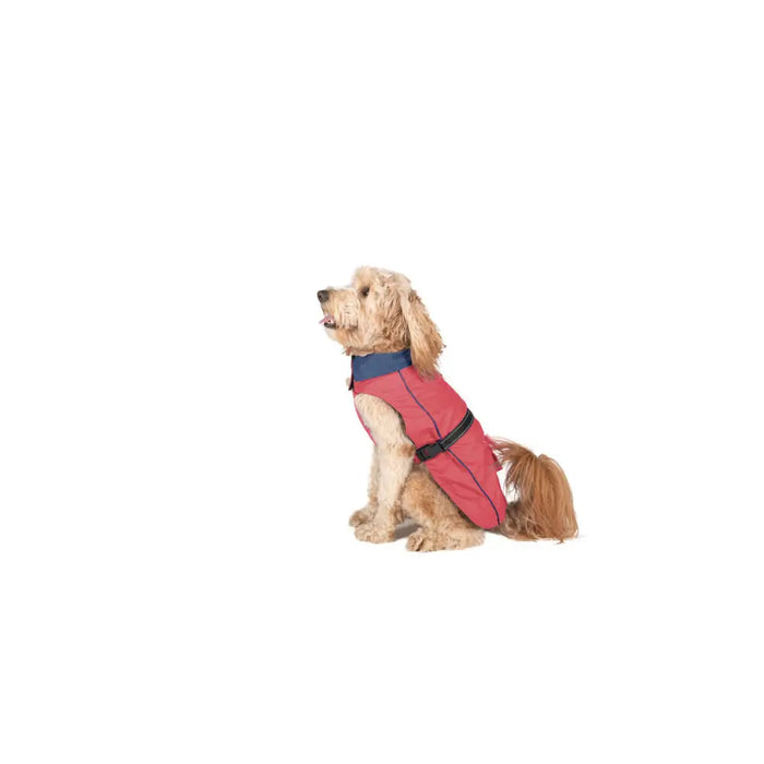 Dog raincoat Dog Gone Smart Coral 45 cm - Домашни Животни<<<Дом Градина<<<BigBuy&&&Пътуване и разходки<<<Домашни