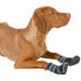 Dog shoes Kerbl Black Grey S - Домашни Животни<<<Дом Градина<<<BigBuy&&&Пътуване и разходки<<<Домашни Животни<<<Дом