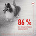 Dog Snack Royal Canin 240 g - Хранене на домашни любимци<<<Домашни Животни<<<Дом