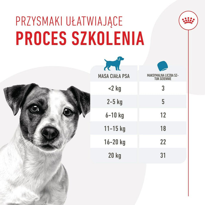 Dog Snack Royal Canin Training Treats 110 g - Хранене на домашни любимци<<<Домашни Животни<<<Дом