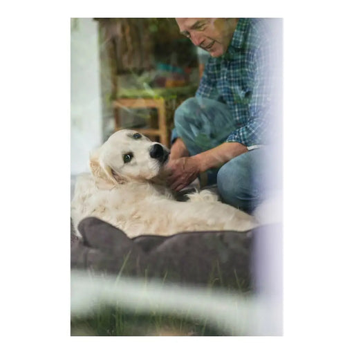 Dog Sofa Hunter Boston 80x60 cm Brown - Домашни Животни<<<Дом Градина<<<BigBuy&&&Къщички и легълца<<<Домашни