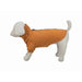 Dog Sweatshirt Trixie Amsterdam Orange L - Домашни Животни<<<Дом Градина<<<BigBuy&&&Пътуване и разходки<<<Домашни