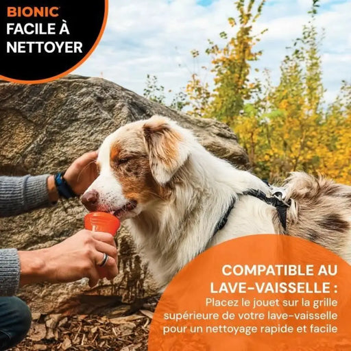 Dog toy Bionic Urban stick Orange 12 cm M Bone - Домашни Животни<<<Дом Градина<<<BigBuy&&&Играчки<<<Домашни