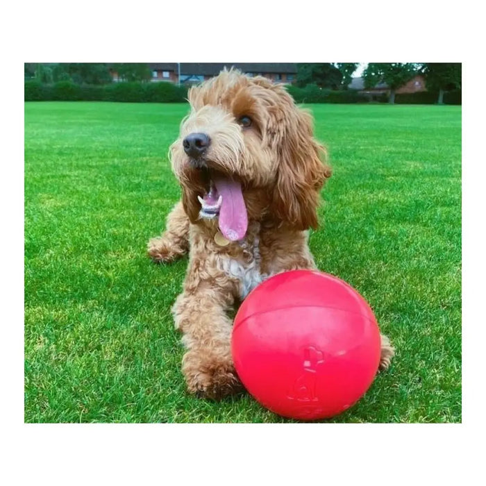 Dog toy Company of Animals Boomer Blue (100mm) - Домашни Животни<<<Дом Градина<<<BigBuy&&&Играчки<<<Домашни