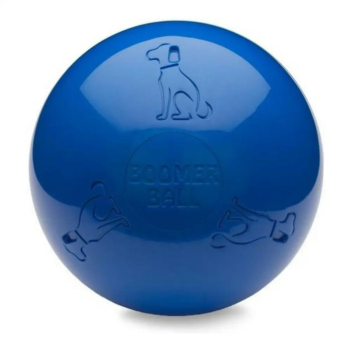 Dog toy Company of Animals Boomer Polyethylene 250mm - Домашни Животни<<<Дом Градина<<<BigBuy&&&Играчки<<<Домашни