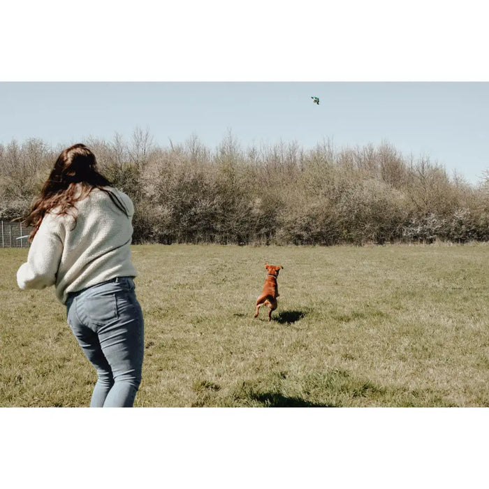Dog toy Hunter - Домашни Животни<<<Дом Градина<<<BigBuy&&&Играчки<<<Домашни Животни<<<Дом Градина<<<BigBuy