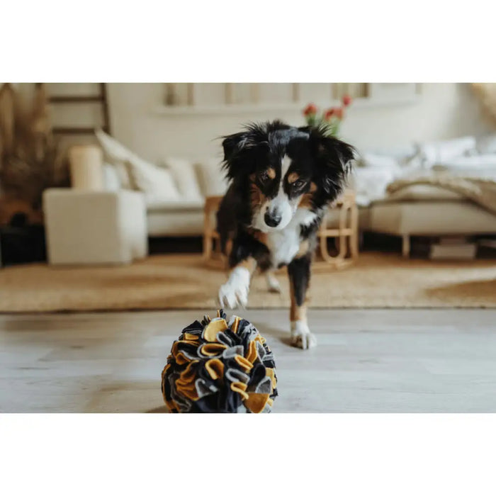 Dog toy Hunter - Домашни Животни<<<Дом Градина<<<BigBuy&&&Играчки<<<Домашни Животни<<<Дом Градина<<<BigBuy