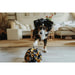 Dog toy Hunter - Домашни Животни<<<Дом Градина<<<BigBuy&&&Играчки<<<Домашни Животни<<<Дом Градина<<<BigBuy