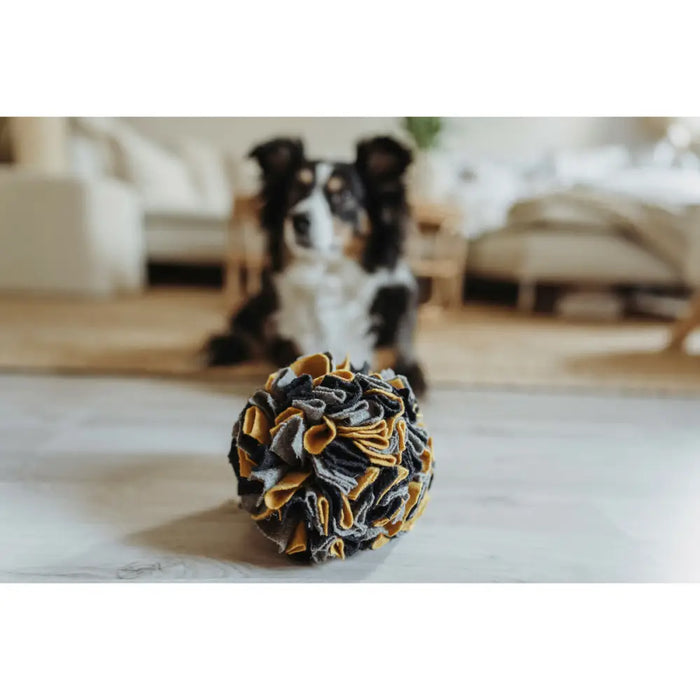 Dog toy Hunter - Домашни Животни<<<Дом Градина<<<BigBuy&&&Играчки<<<Домашни Животни<<<Дом Градина<<<BigBuy