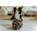 Dog toy Hunter - Домашни Животни<<<Дом Градина<<<BigBuy&&&Играчки<<<Домашни Животни<<<Дом Градина<<<BigBuy