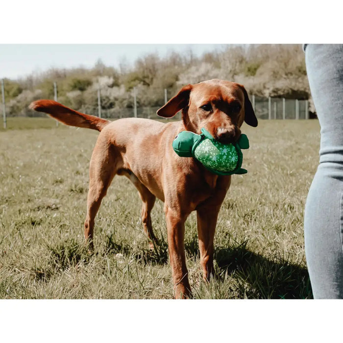 Dog toy Hunter - Домашни Животни<<<Дом Градина<<<BigBuy&&&Играчки<<<Домашни Животни<<<Дом Градина<<<BigBuy