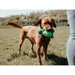 Dog toy Hunter - Домашни Животни<<<Дом Градина<<<BigBuy&&&Играчки<<<Домашни Животни<<<Дом Градина<<<BigBuy