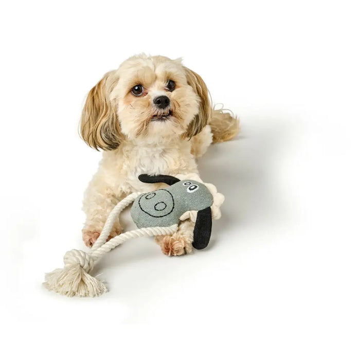 Dog toy Hunter NEBRASKA Blue Polyester Ship - Домашни Животни<<<Дом Градина<<<BigBuy&&&Играчки<<<Домашни Животни<<<Дом
