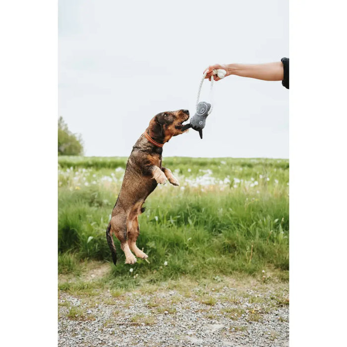 Dog toy Hunter NEBRASKA Grey Polyester Horse - Домашни Животни<<<Дом Градина<<<BigBuy&&&Играчки<<<Домашни Животни<<<Дом