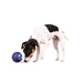 Dog toy Trixie 3492 Blue Plastic Inside/Exterior - Домашни Животни<<<Дом Градина<<<BigBuy&&&Играчки<<<Домашни