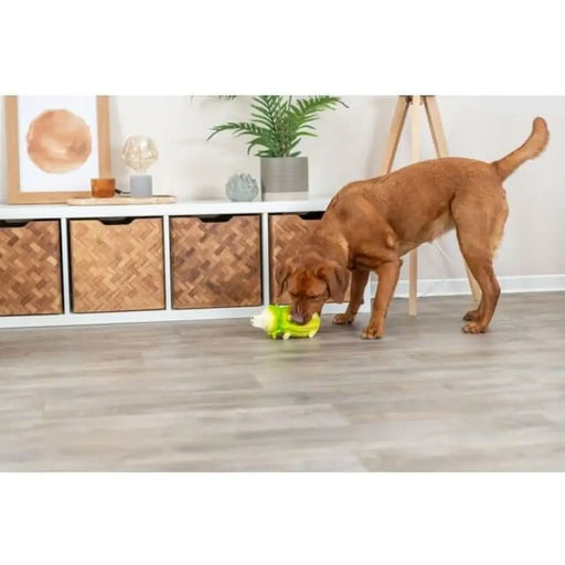 Dog toy Trixie Pig - Домашни Животни<<<Дом Градина<<<BigBuy&&&Играчки<<<Домашни Животни<<<Дом Градина<<<BigBuy