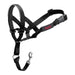 Dog Training Collars Company of Animals Halti Black Muzzle (29-36 cm) - Домашни Животни<<<Дом