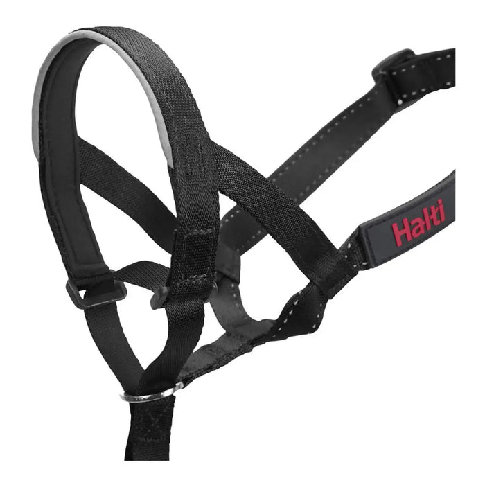 Dog Training Collars Company of Animals Halti Black Muzzle (29-36 cm) - Домашни Животни<<<Дом