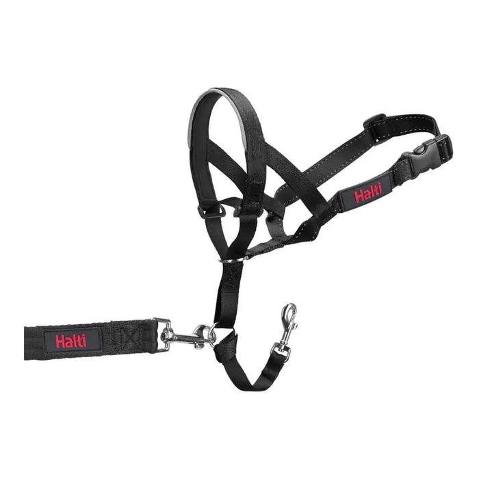 Dog Training Collars Company of Animals Halti Black Muzzle (35-48 cm) - Домашни Животни<<<Дом