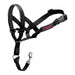 Dog Training Collars Company of Animals Halti Black Muzzle (35-48 cm) - Домашни Животни<<<Дом