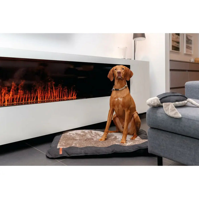 Dog Training Collars Trixie Be Nordic Black Sand XS/S 30 cm - Домашни Животни<<<Дом Градина<<<BigBuy&&&Пътуване и