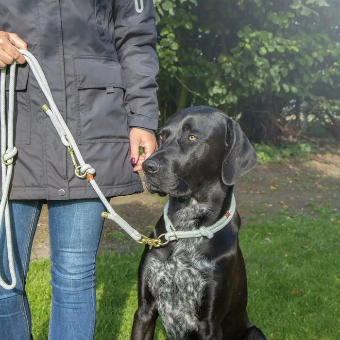 Dog Training Collars Trixie Soft Rope Green Mint L/XL 55 cm - Домашни Животни<<<Дом Градина<<<BigBuy&&&Пътуване и