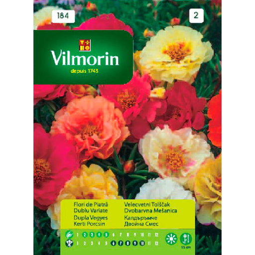 DOUBLE VILMORIN Cobblestone Seeds - Семена<<<Семена луковици и разсад<<<Градина<<<Praktiker
