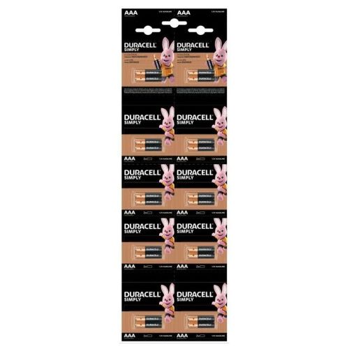Alkaline battery DURACELL BASIC LR03 20pk blister /10 * 2/ HBDC 1.5V