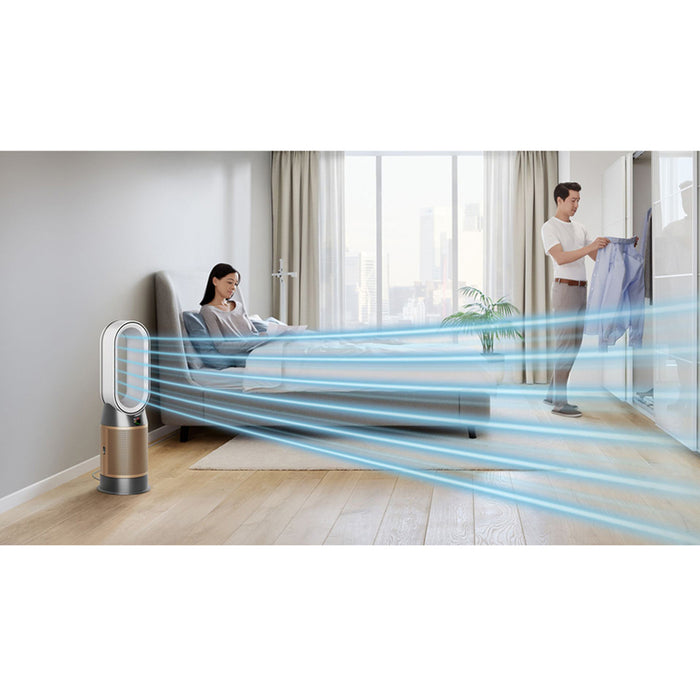 Air purifier DYSON HP09 (Nk/GD) (463126-01)