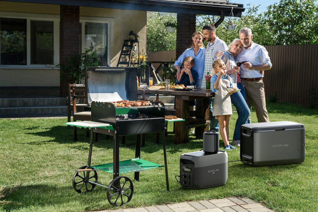 Portable power station EcoFlow DELTA 3 Max