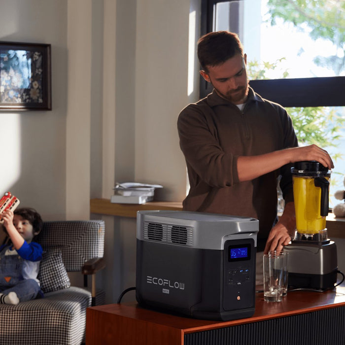 Portable power station EcoFlow DELTA 2 Max