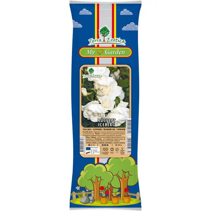 EKZOTIKA CATERPILLAR ROSE ROOT - Корени<<<Външни растения<<<Градина<<<Praktiker