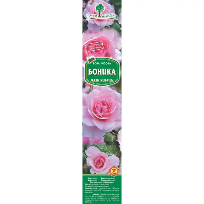 EKZOTIKA ROSE ROOT - Корени<<<Външни растения<<<Градина<<<Praktiker