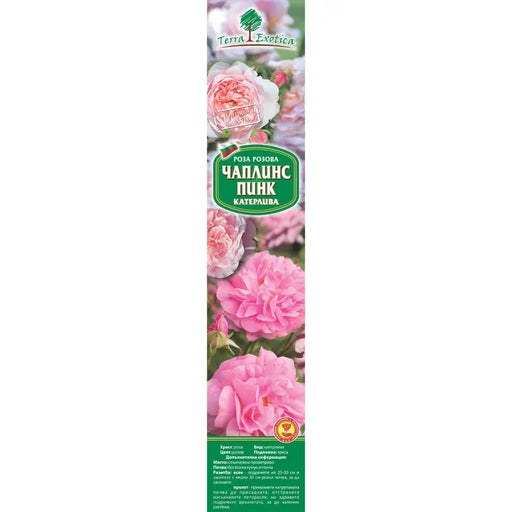 EKZOTIKA ROSE ROOT - Корени<<<Външни растения<<<Градина<<<Praktiker