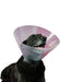 Elizabethan Dog Collar KVP Betsy (33-40 cm) - Домашни Животни<<<Дом Градина<<<BigBuy&&&Здраве и хигиена<<<Домашни