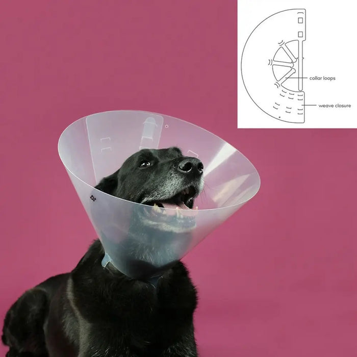 Elizabethan Dog Collar KVP Betsy Transparent (63-78 cm) - Домашни Животни<<<Дом Градина<<<BigBuy&&&Здраве и
