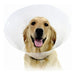 Elizabethan Dog Collar KVP Check Transparent (22-27 cm) - Домашни Животни<<<Дом Градина<<<BigBuy&&&Здраве и