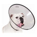 Elizabethan Dog Collar KVP Saf-T-Clear Transparent (17-30 cm) - Домашни Животни<<<Дом Градина<<<BigBuy&&&Здраве и