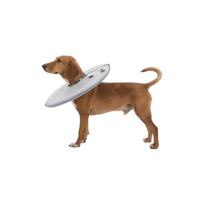 Elizabethan Dog Collar Trixie Grey (23-27 cm) - Здраве и хигиена<<<Домашни Животни<<<Дом Градина<<<BigBuy