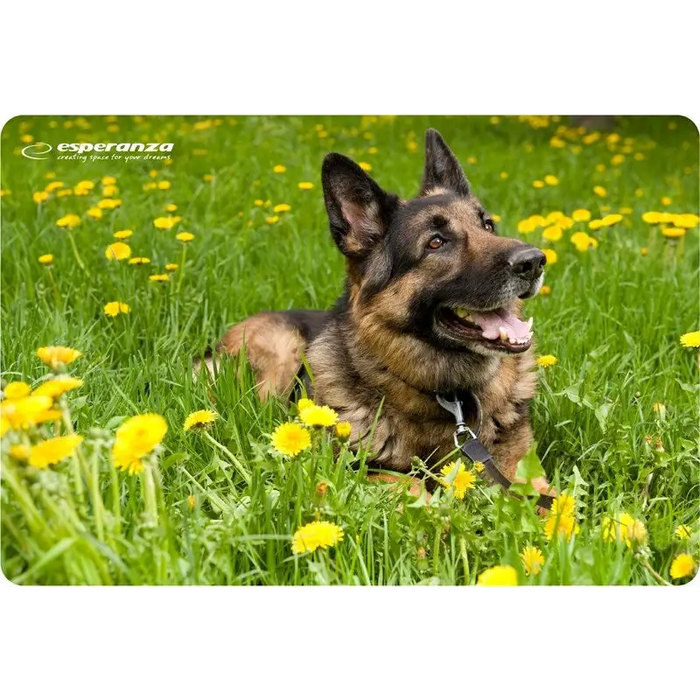 Esperanza EA133 mouse pad Multicolor - Mouse padsARB-POD<<<Office suppliesARB<<<ActionPL