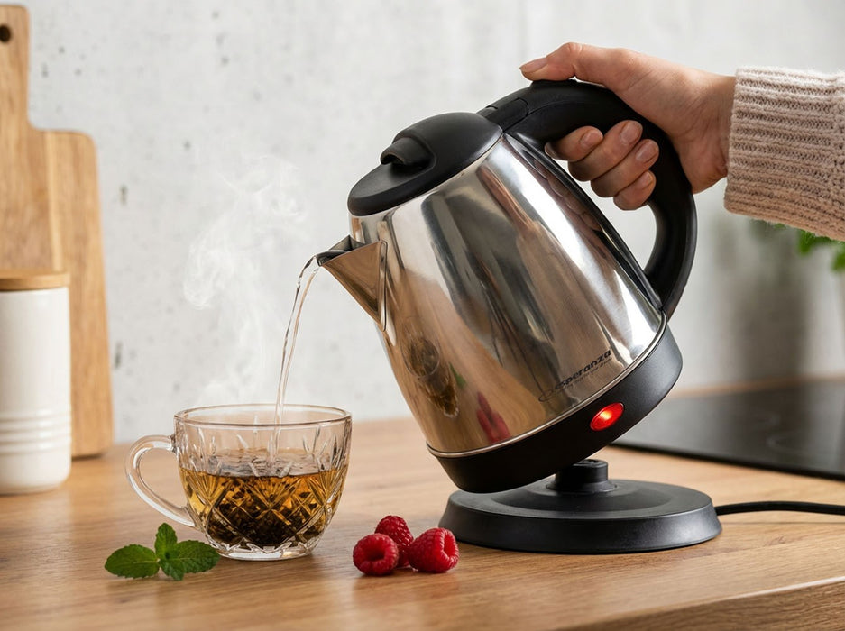 Esperanza EKK116S Electric kettle 1 L 1350 W Silver