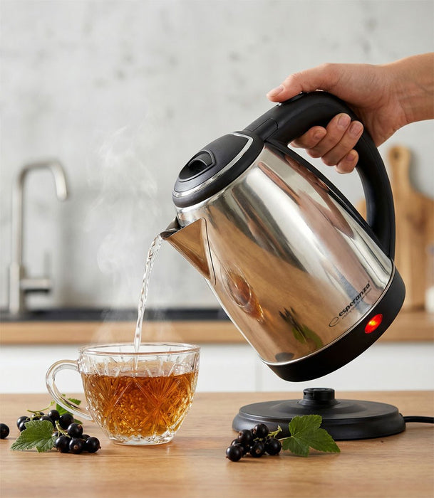 Esperanza EKK104S Electric kettle 1.8 L 2200 W Silver