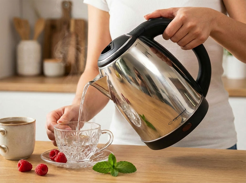 Esperanza EKK104S Electric kettle 1.8 L 2200 W Silver