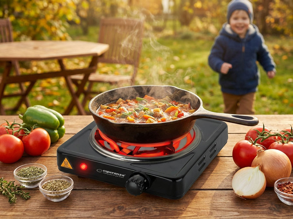 Esperanza EKH012K Black electric stove