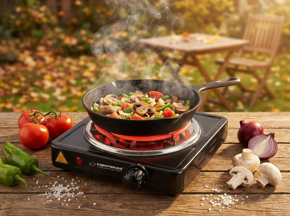 Esperanza EKH012K Black electric stove