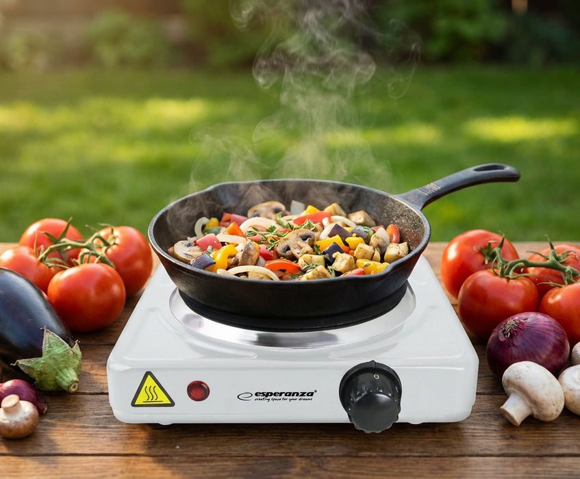 Esperanza EKH013W White Electric stove