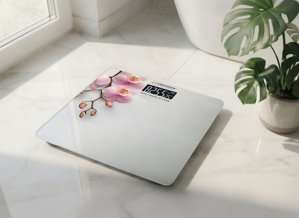 Esperanza EBS010 personal scale Electronic personal scale