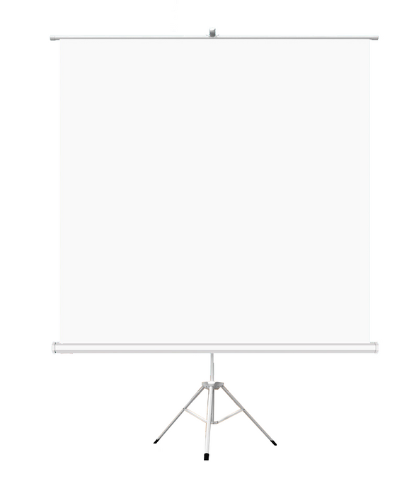 Screen on stand ESTILLO, 180 x 180, 1:1, White