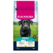 EUKANUBA Adult L XL Rich in chicken - dry dog food - 15kg - Dry foodDLP-KAS<<<For the dogDLP<<<ActionPL